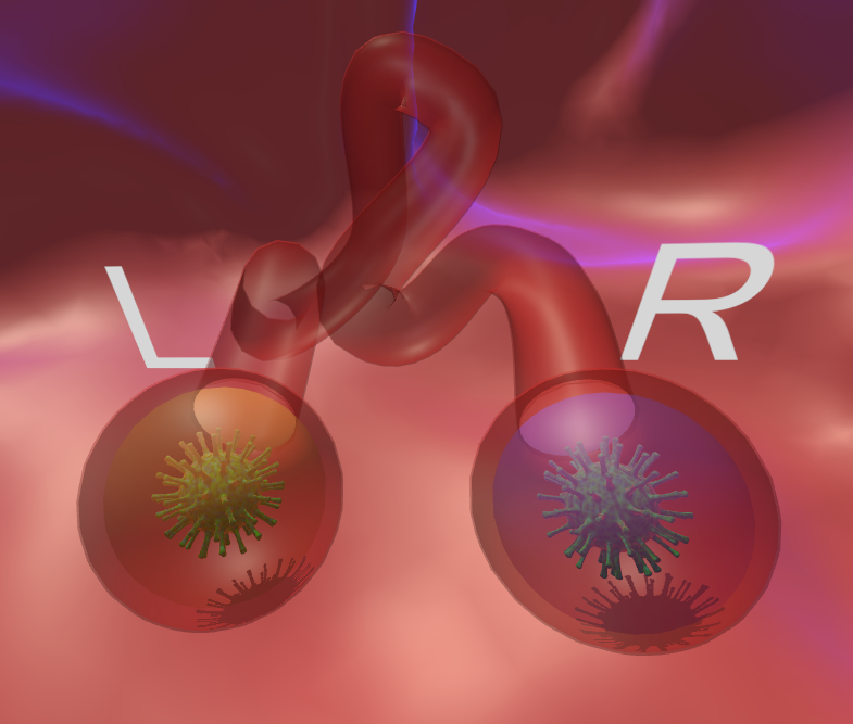 A biological, virtual maze with two virtual virus models.