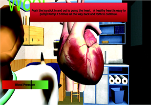 An anatomical heart in a lab.
