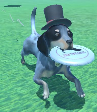 A dog playing fetch with frisbee.